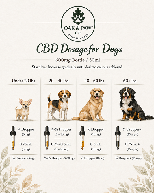 Oak & Paw CBD Dosage Chart for Dogs with illustrations of dogs and dropper sizes.